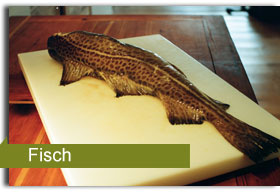 Fischrezepte