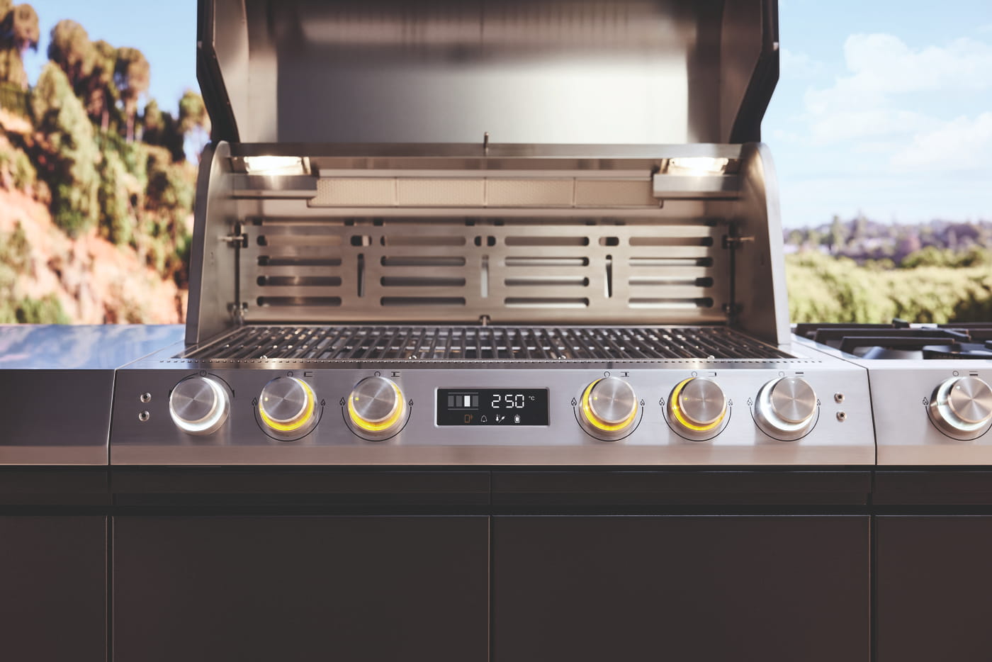 Grillsteuerung mit Temperaturregelung